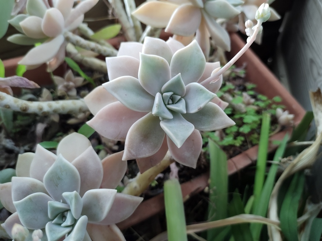 No s'ha trobat l'arxiu